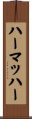 ハーマッハー Scroll