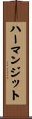 Harmanjit Scroll