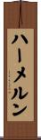 ハーメルン Scroll