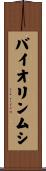 バイオリンムシ Scroll