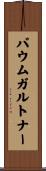 バウムガルトナー Scroll