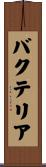 バクテリア Scroll