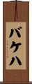 バケハ Scroll