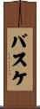 バスケ Scroll