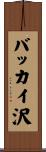 バッカイ沢 Scroll