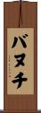 バヌチ Scroll