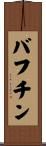 バフチン Scroll