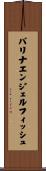 バリナエンジェルフィッシュ Scroll