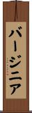 バージニア Scroll