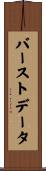 バーストデータ Scroll
