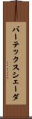 バーテックスシェーダ Scroll