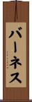 Barnes Scroll