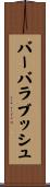 バーバラブッシュ Scroll