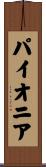 パイオニア Scroll