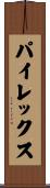 パイレックス Scroll