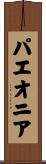 パエオニア Scroll