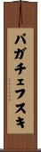 パガチェフスキ Scroll