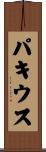 パキウス Scroll