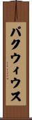 パクウィウス Scroll