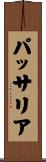 パッサリア Scroll