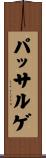 パッサルゲ Scroll