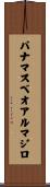 パナマスベオアルマジロ Scroll