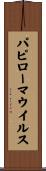 パピローマウイルス Scroll