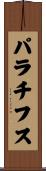 パラチフス Scroll