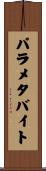 パラメタ・バイト Scroll