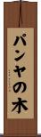 パンヤの木 Scroll