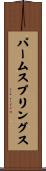 パームスプリングス Scroll
