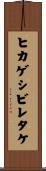 ヒカゲシビレタケ Scroll