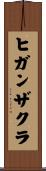 ヒガンザクラ Scroll