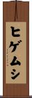 ヒゲムシ Scroll