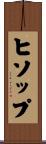 ヒソップ Scroll