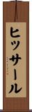 ヒッサール Scroll