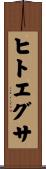 ヒトエグサ Scroll