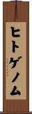 ヒトゲノム Scroll
