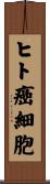 ヒト癌細胞 Scroll