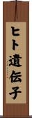 ヒト遺伝子 Scroll