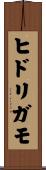 ヒドリガモ Scroll