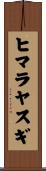 ヒマラヤスギ Scroll