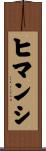 Himanshi Scroll