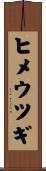 ヒメウツギ Scroll