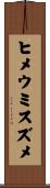 ヒメウミスズメ Scroll