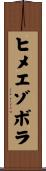 ヒメエゾボラ Scroll