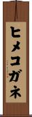 ヒメコガネ Scroll
