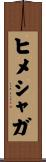 ヒメシャガ Scroll