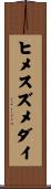 ヒメスズメダイ Scroll