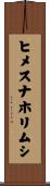 ヒメスナホリムシ Scroll